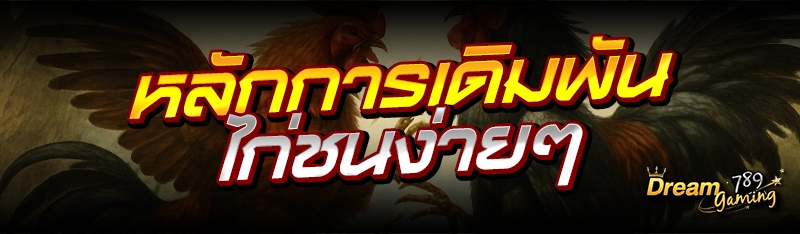 หลักการเดิมพันไก่ชนง่าย ๆ 